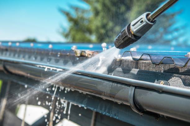 Best Roof Power Washing Services  in Mercedes, TX
