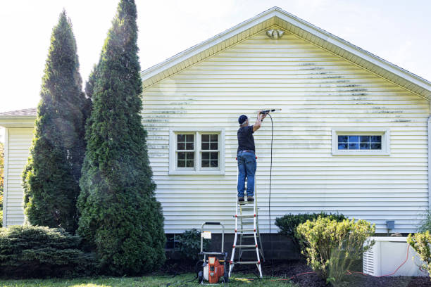 Best Garage Pressure Washing  in Mercedes, TX