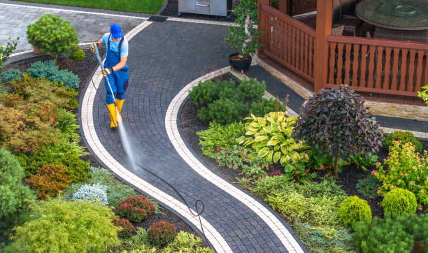 Local Pressure Washing Services in Mercedes, TX